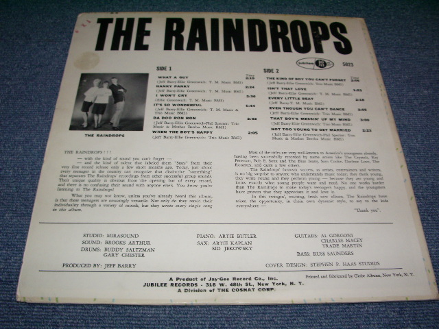 画像: THE RAINDROPS - THE RAINDROPS / 1963 US MONO LP 
