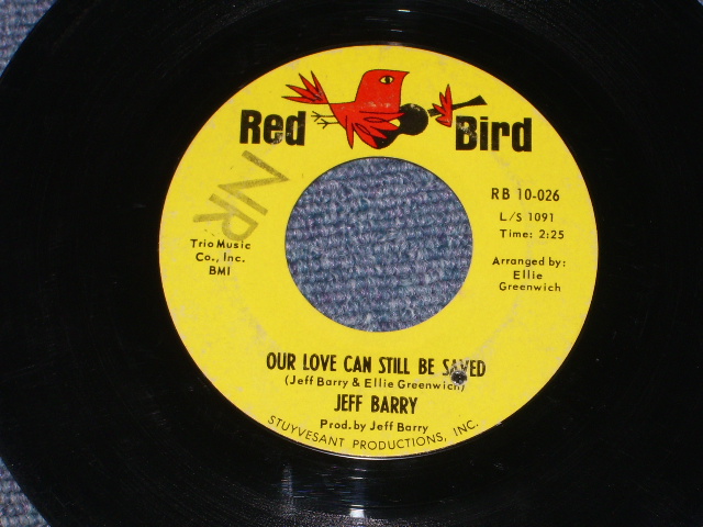 画像: JEFF BARRY - I'LL STILL LOVE YOU ( Ex+/Ex+ )/ 1965 US Original 7" Single  
