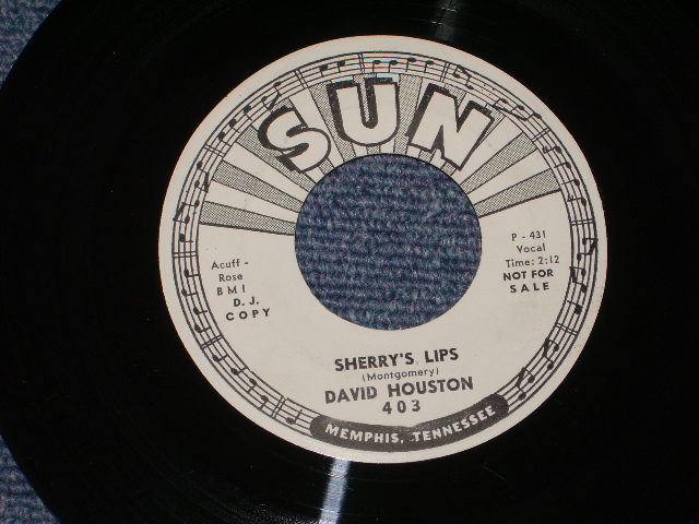 画像1: DAVID HOUSTON - SHERRY'S LIPS / 1966 US ORIGINAL White Label Promo 7" Single