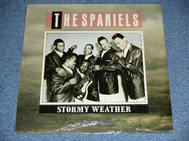 画像1: THE SPANIELS - STORMY WEATHER  / 1986 UK ENGLAND   Brand New SEALED LP  found Dead Stock 