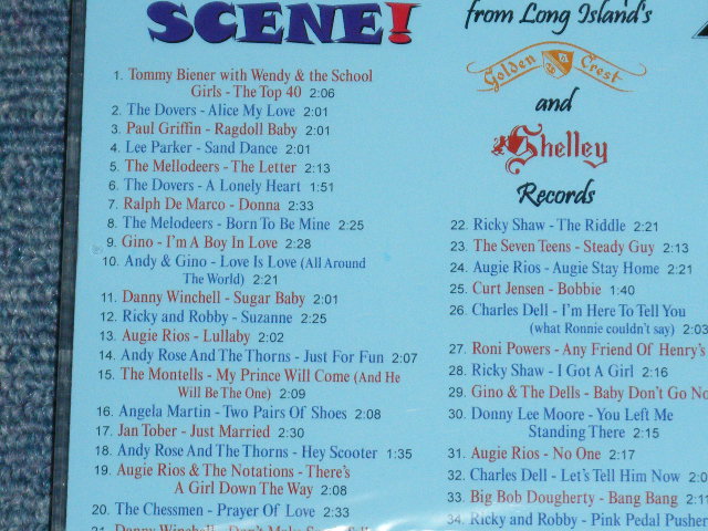 画像: VA  (TOMMY BIENER with WENDY & The SCHOOL GIRLS,The DOVERS,PAUL GRIFFIN,+MORE ) - TEEN SCENE !  / 2002 GERMANY  ORIGINAL "BRAND NEW SEALED" CD