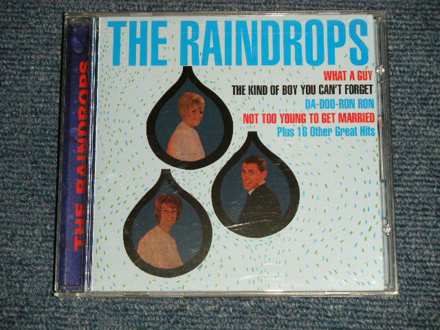 画像1: THE RAINDROPS - THE RAINDROPS (MINT/MINT : SEALED) / 1999 US AMERICA ORIGINAL Used CD