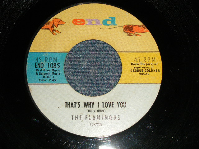 画像1: THE FLAMINGOS - A) THAT'S WHY I LOVE YOU  B) KOKOMO (Ex/Ex+) / 1961 US AMERICA ORIGINAL Used 7" inch SINGLE 