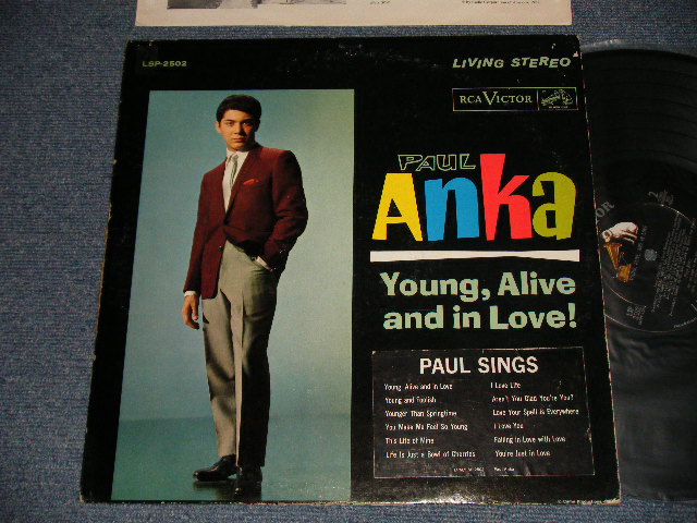 画像1: PAUL ANKA - YOUNG, ALIVE AND IN LOVE! (with PORTRAIT OF PAUL ANKA on BACK COVER STYLE) (With HYPE / TITLE SEAL on FRONT COVER) (With CUSTOM INNER SLEEVE)  (Ex+/Ex+ EDSP) /1962 US AMERICA ORIGINAL 2nd Press Jacket  STEREO Used LP